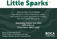 Little Sparks (K3-K5) Little Sparks (K3-K5)