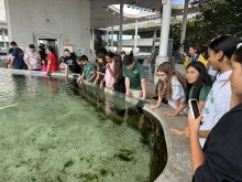 6th-grade Frost Science Museum Highlights