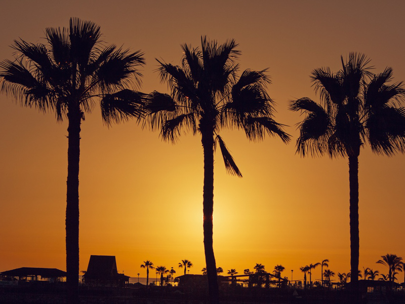 March 16-20 Spring Break 