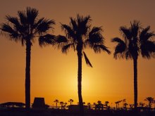 March 16-20 Spring Break 